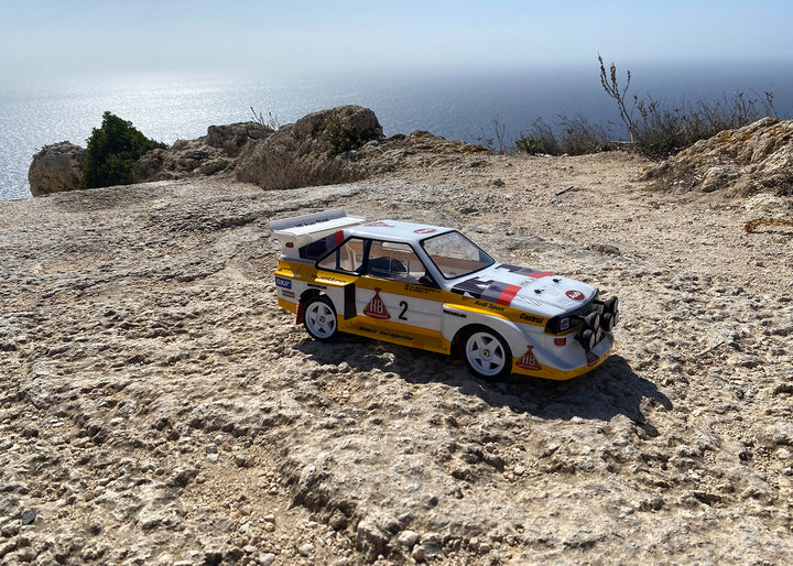 Professional Car Kit WRC124 4WD 1/10